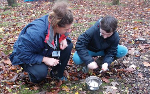 Forest School Project at Aycliffe