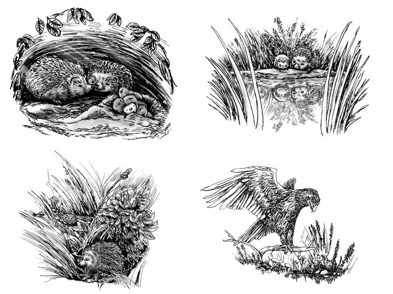 Illustrations from the book