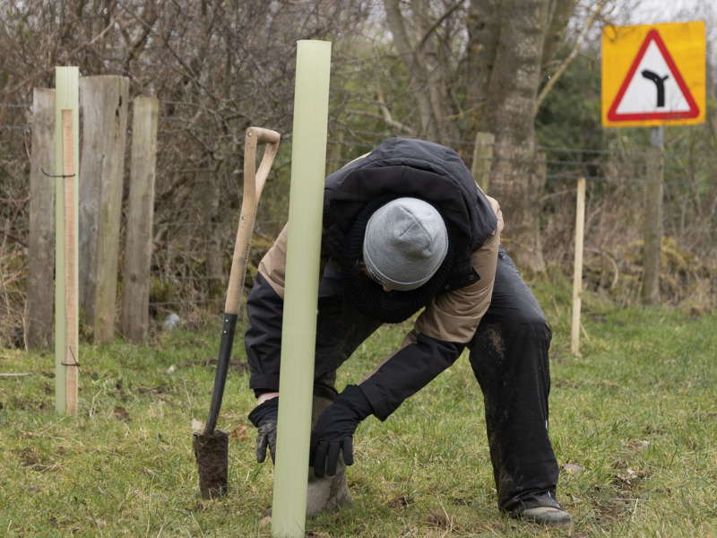 A man inserting posts into a field