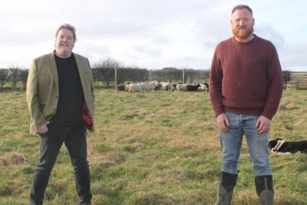 NEAS CEO John Phillipson stands beside Farm Manager Dave Wilde in-front of a flock of sheep at New Warlands Farm