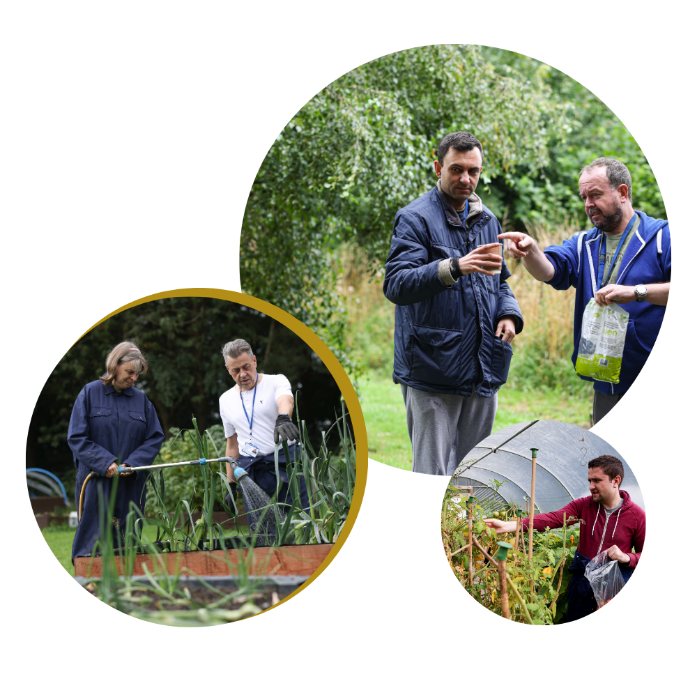 Three pictures showing participants at New Warlands Farm