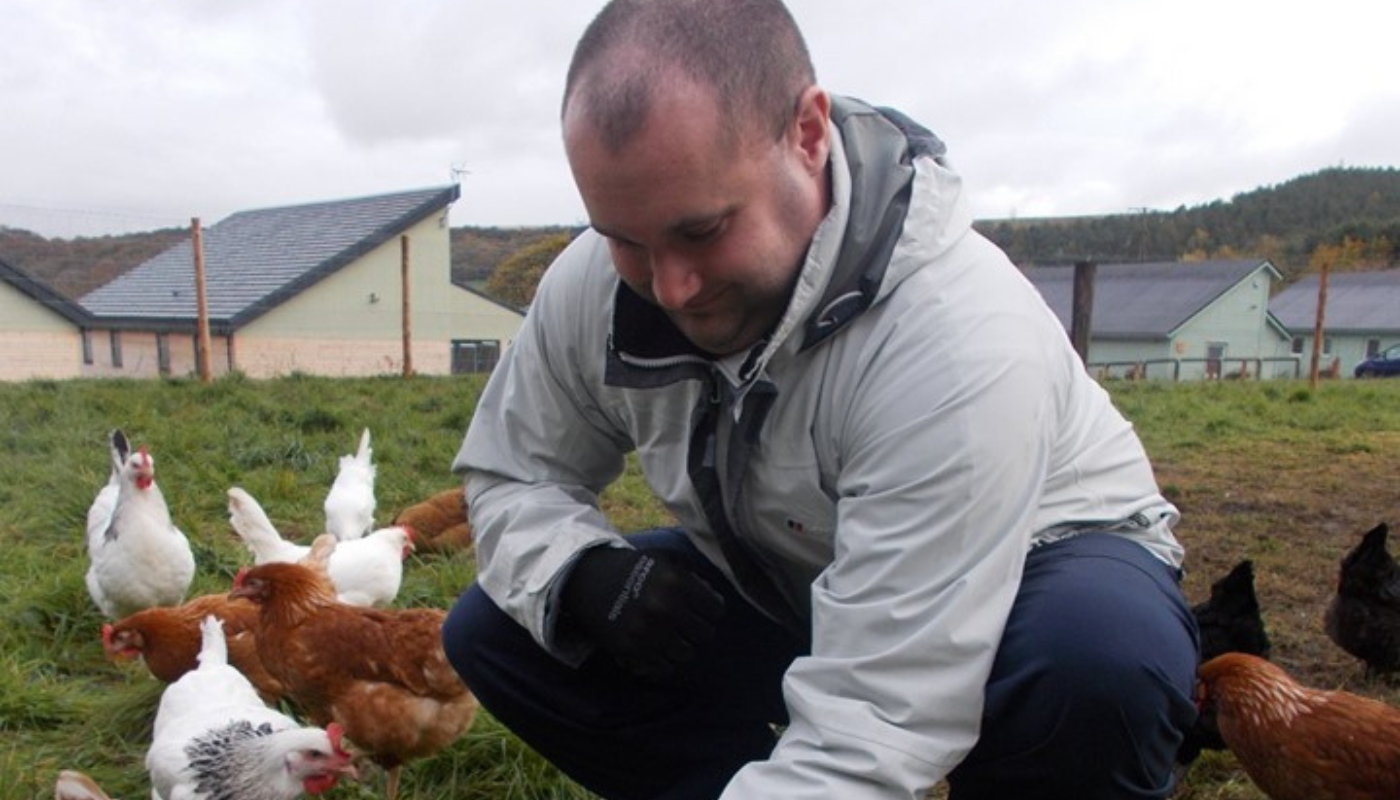 A man feeding hens at the farm
