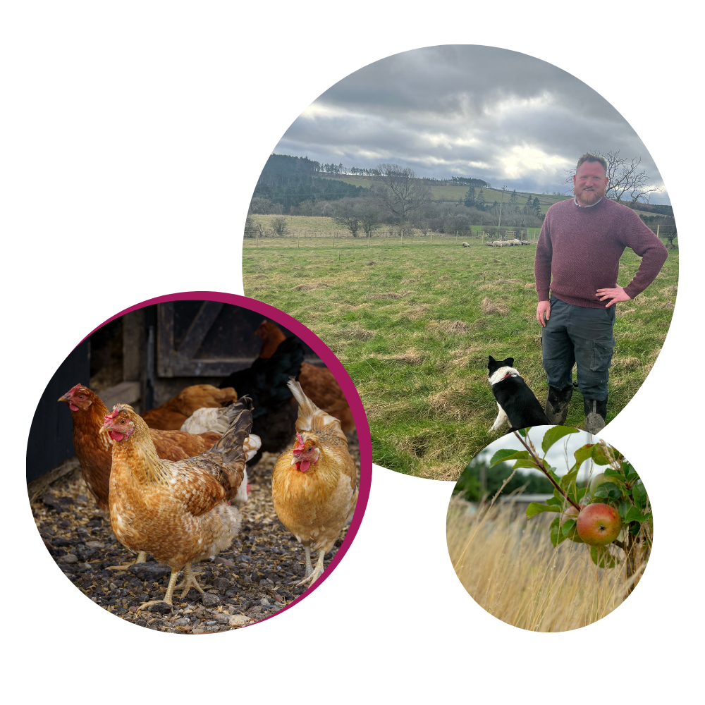 Pictures of a farmer with his dog, an apple tree and some hens