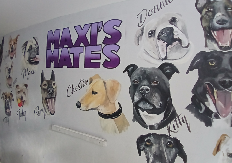 Oak Class Learner Volunteers at Maxi’s Mates Rescue & Rehoming Centre Featured Image