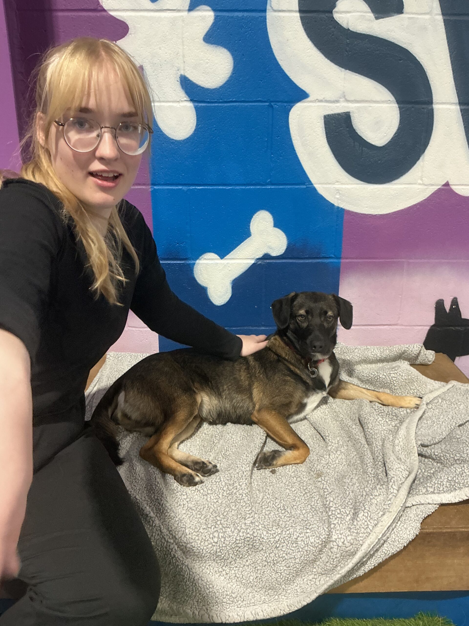 Community Based Work Experience – Mighty Mutt House Featured Image