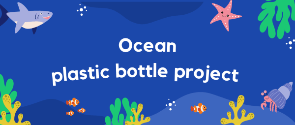 Ocean plastic bottle project